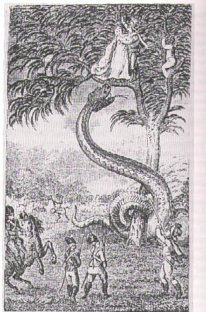 serpent géant.JPG (67833 octets)